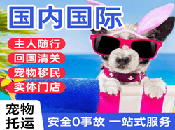 韶关机场邮寄国际宠物托运 【国